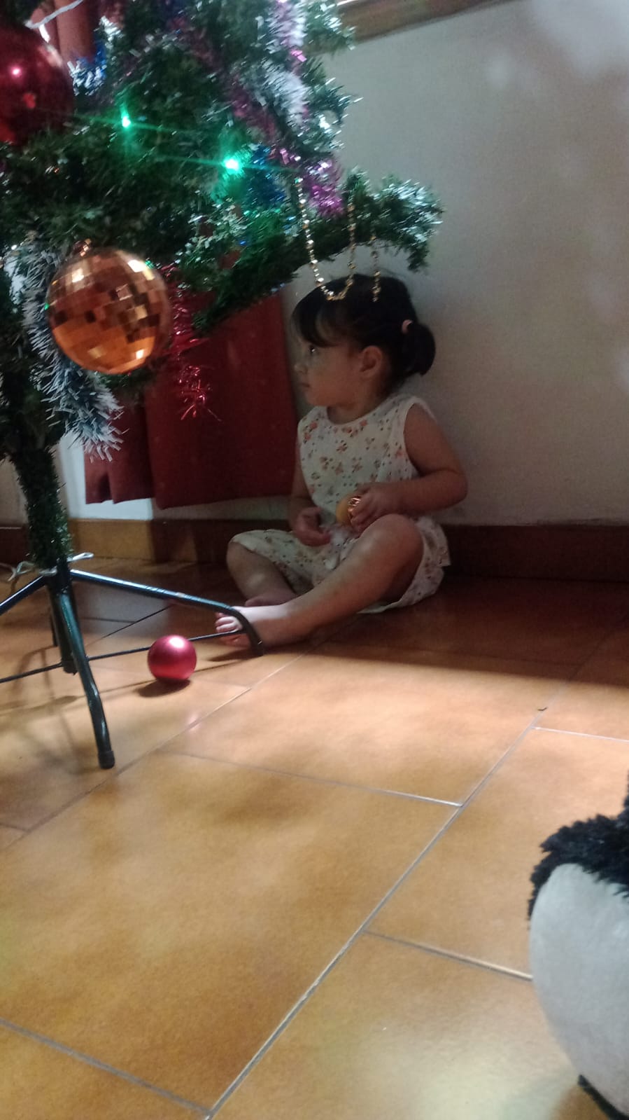 WhatsApp Image 2026-01-01 at 3.57.15 PM.jpeg